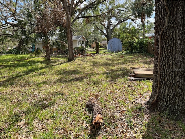 view of yard with a shed