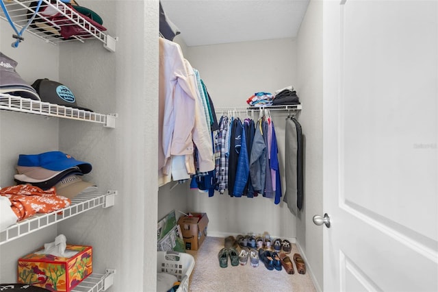 spacious closet featuring carpet floors