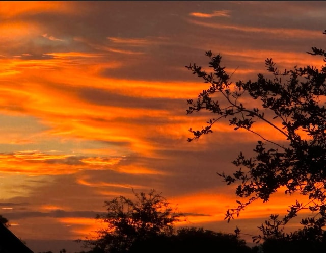 view of nature at dusk