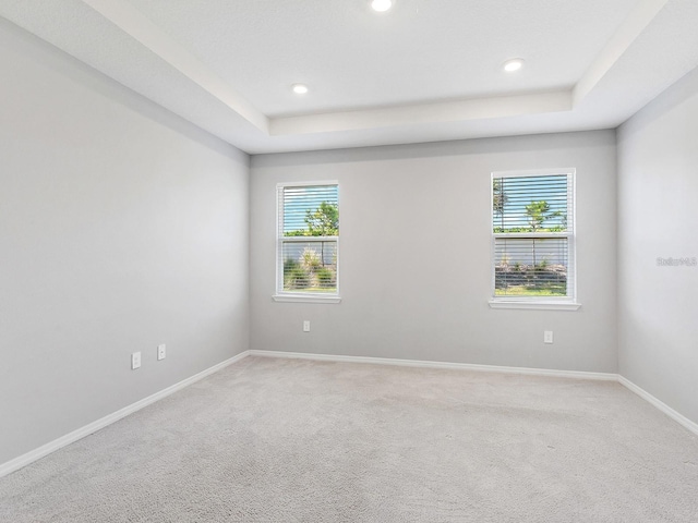 spare room featuring light carpet, a healthy amount of sunlight, and a tray ceiling