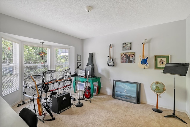 misc room featuring light carpet and a textured ceiling