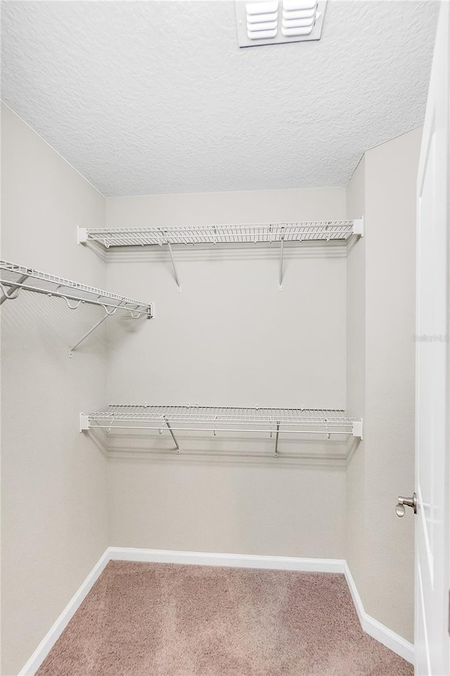 spacious closet with carpet flooring