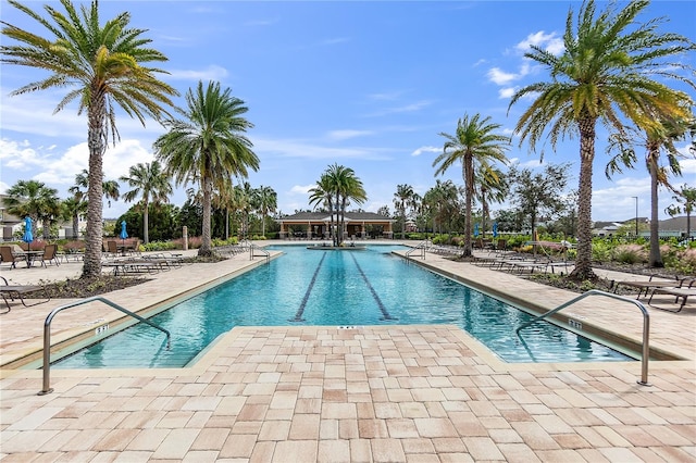 view of swimming pool featuring a patio area