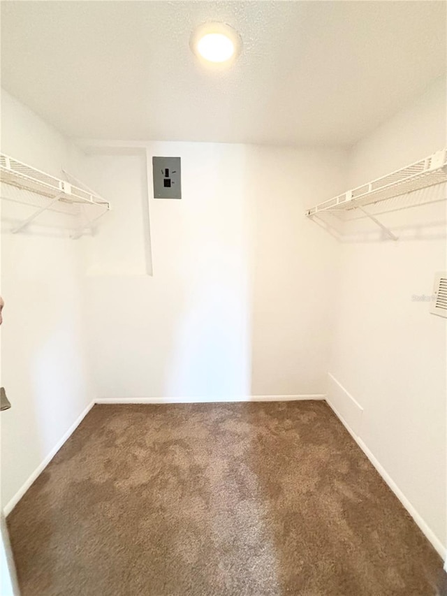 walk in closet with dark colored carpet