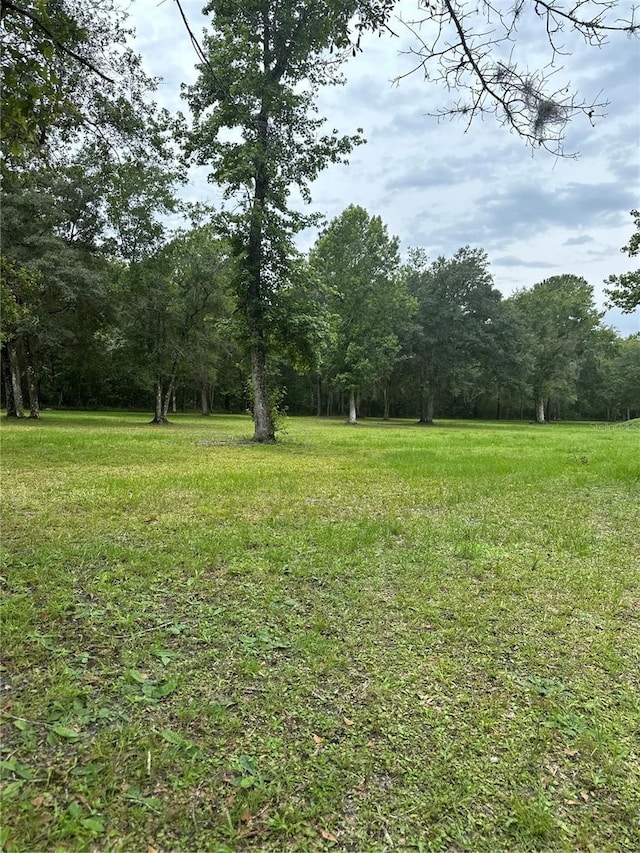 Rackley Rd, Brooksville, FL 34604 - photo 11