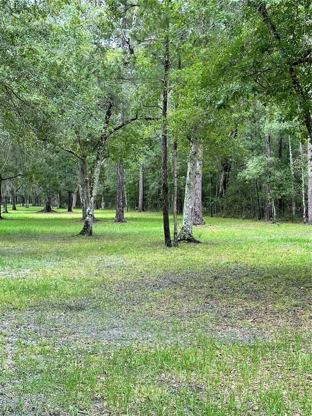 Rackley Rd, Brooksville, FL 34604 - photo 2