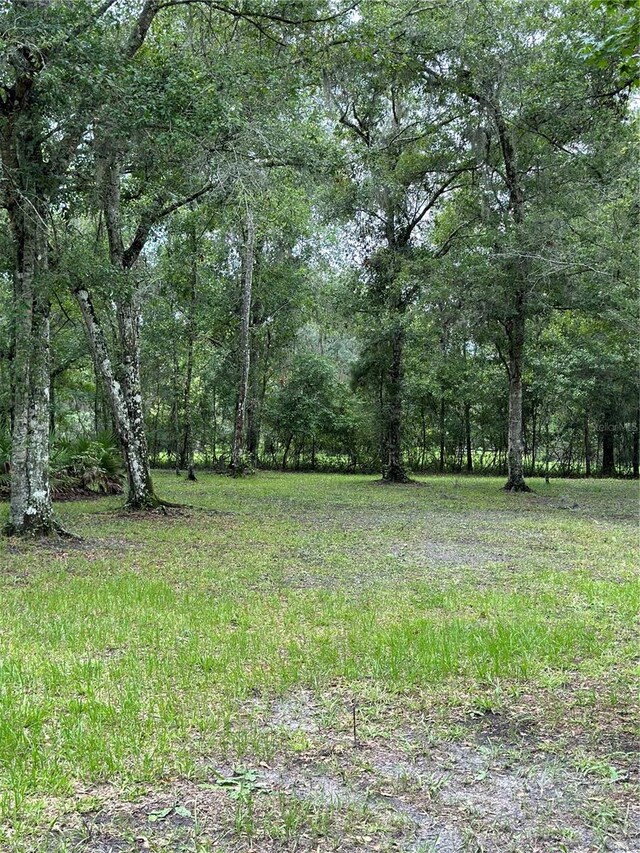 Rackley Rd, Brooksville, FL 34604 - photo 4