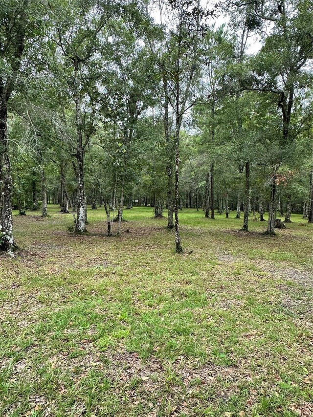 Rackley Rd, Brooksville, FL 34604 - photo 5
