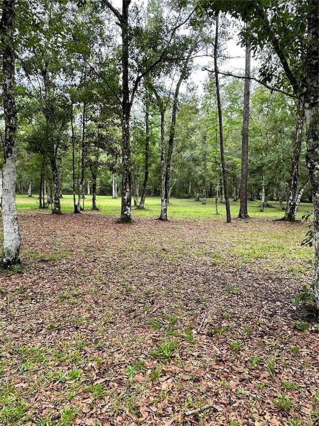 Rackley Rd, Brooksville, FL 34604 - photo 6