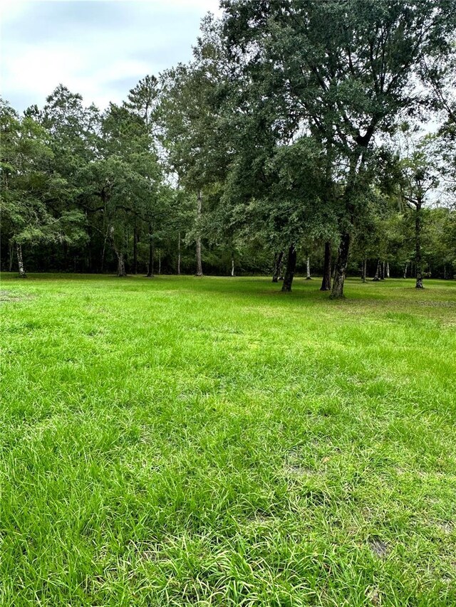 Rackley Rd, Brooksville, FL 34604 - photo 7