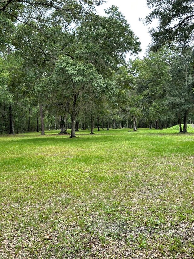 Rackley Rd, Brooksville, FL 34604 - photo 13