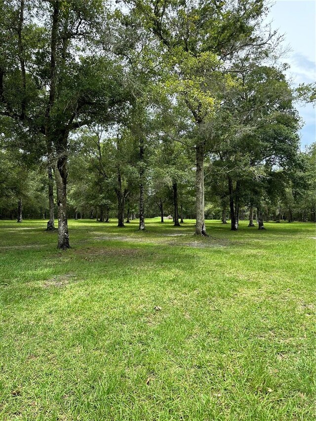 Rackley Rd, Brooksville, FL 34604 - photo 14