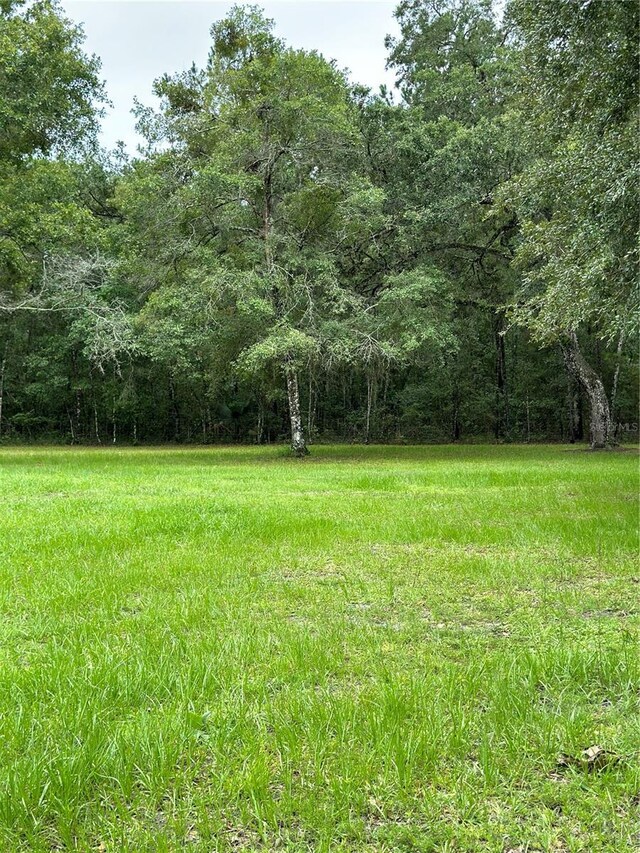 Rackley Rd, Brooksville, FL 34604 - photo 18