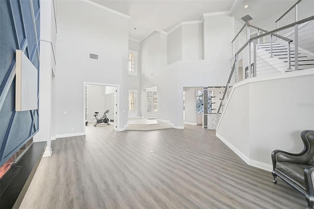 foyer featuring a high ceiling, wood-type flooring, and ornamental molding