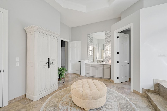 interior space featuring vanity and a raised ceiling