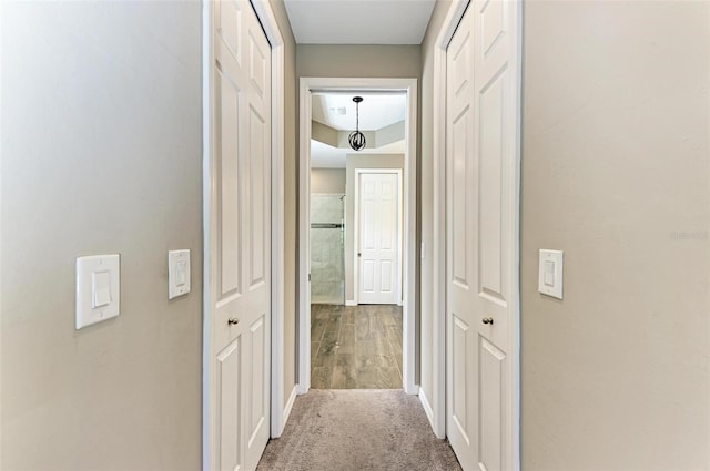 hall featuring hardwood / wood-style floors