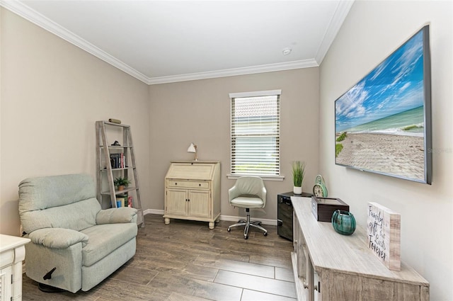 office featuring crown molding and wood-type flooring