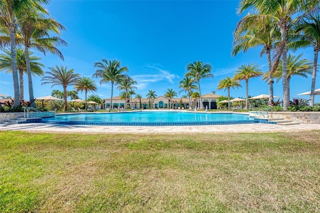 view of swimming pool featuring a lawn