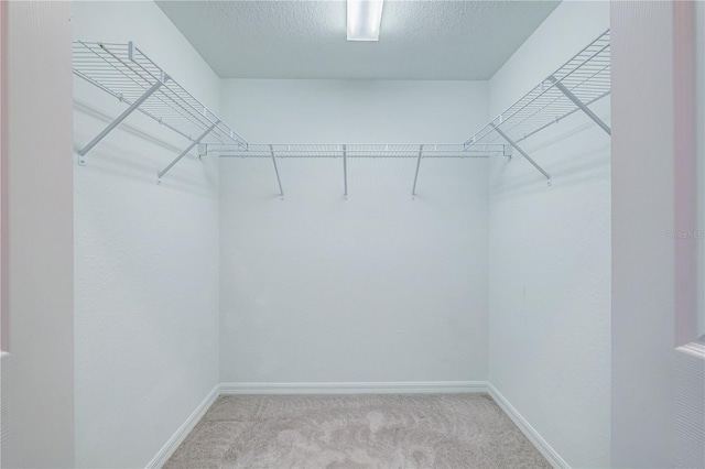 spacious closet with light colored carpet