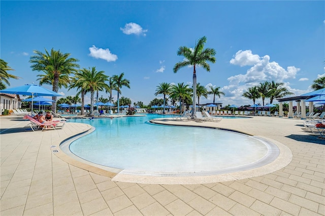 view of pool featuring a patio