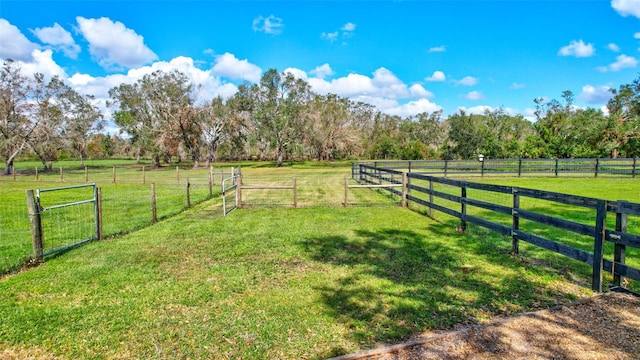 view of yard with a rural view