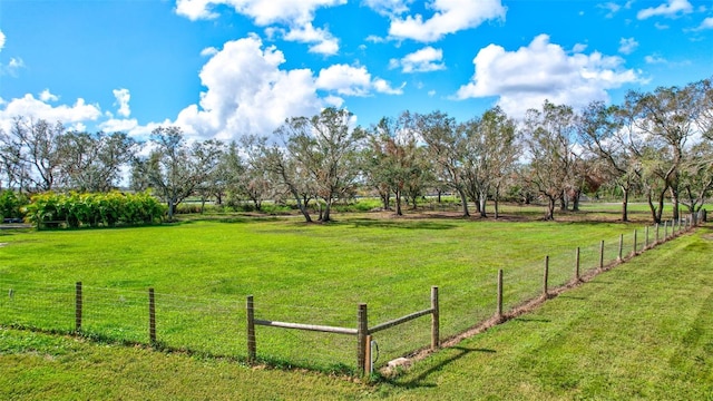 view of yard with a rural view