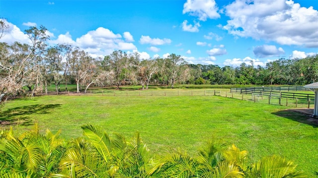 view of yard featuring a rural view