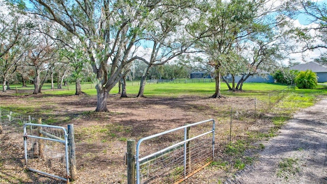 view of yard with a rural view