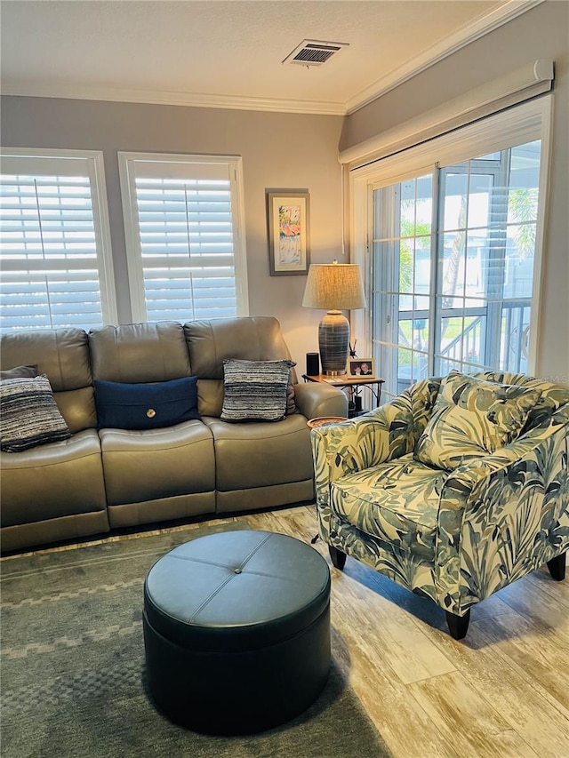 living room with a wealth of natural light and crown molding