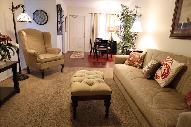 living room featuring wood-type flooring