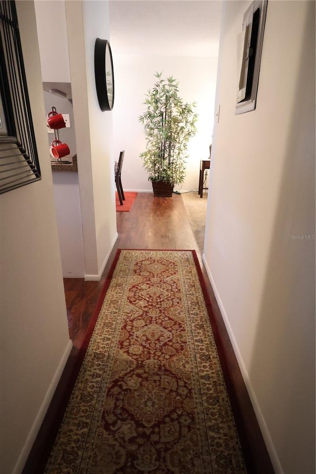 hallway featuring dark wood-type flooring