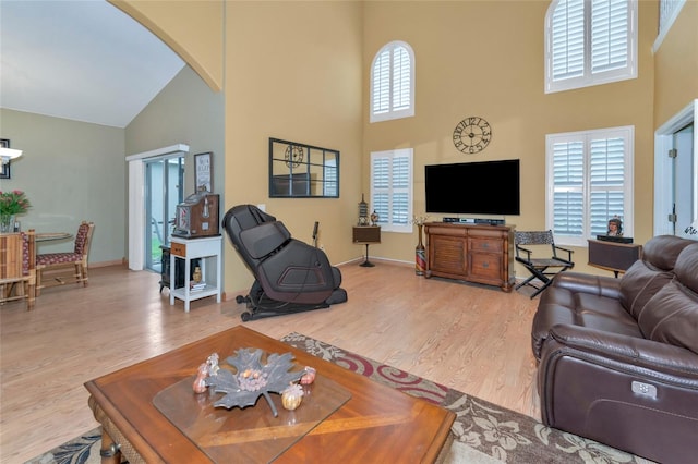 living room with wood-type flooring and a high ceiling