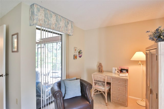 sitting room with carpet