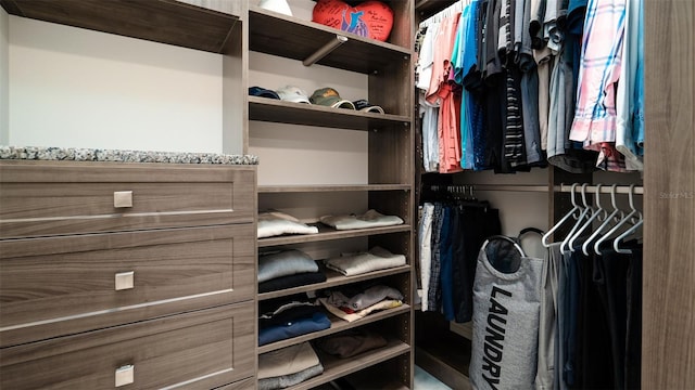 view of spacious closet