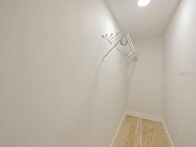 walk in closet featuring wood-type flooring