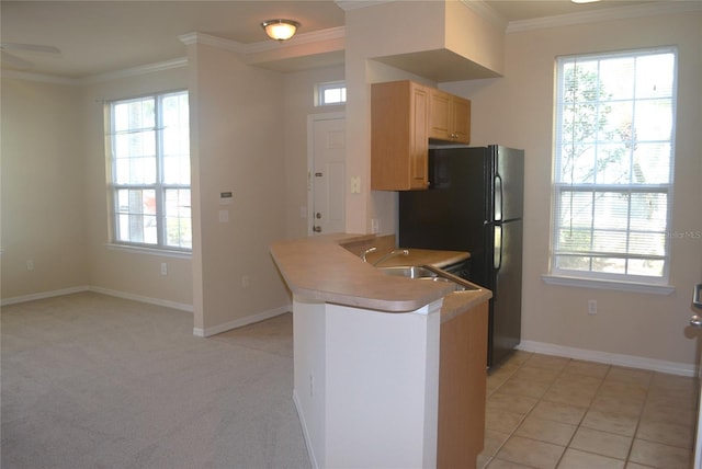 kitchen featuring ornamental molding, kitchen peninsula, light colored carpet, and a healthy amount of sunlight