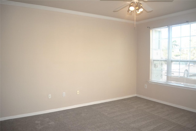 carpeted empty room with ceiling fan and ornamental molding