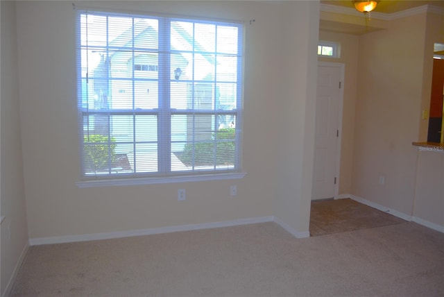 carpeted empty room featuring ornamental molding