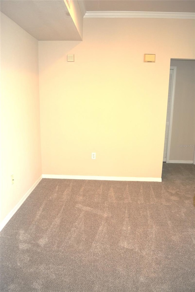 unfurnished room with ornamental molding and carpet