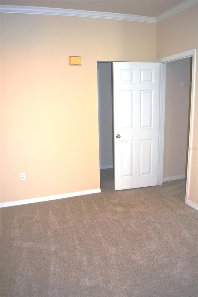 carpeted empty room with crown molding