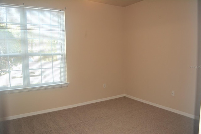 carpeted spare room with a healthy amount of sunlight