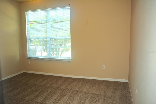 carpeted empty room with plenty of natural light