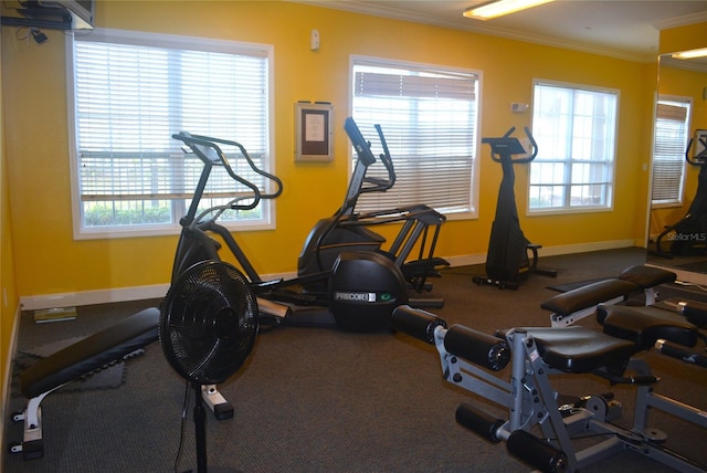 workout area featuring plenty of natural light and crown molding