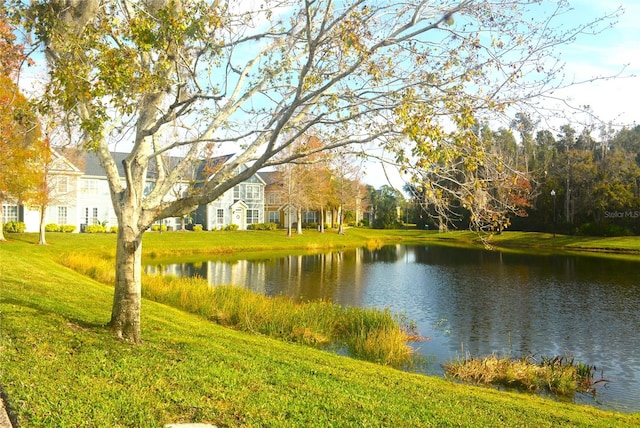 property view of water