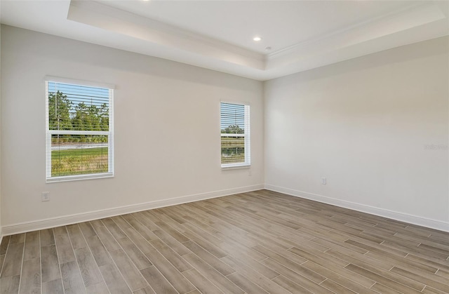 empty room with light hardwood / wood-style floors, a raised ceiling, and a wealth of natural light