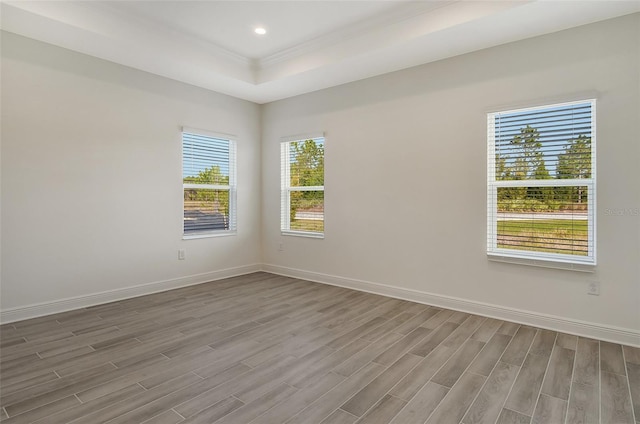 unfurnished room featuring light wood-type flooring and a tray ceiling