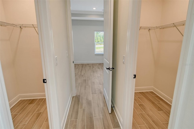 walk in closet featuring light hardwood / wood-style flooring