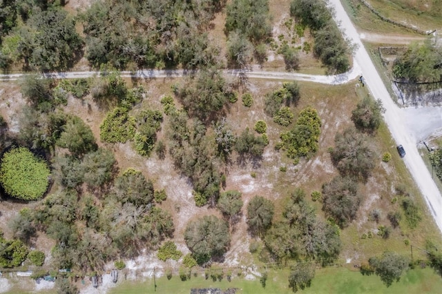 bird's eye view with a rural view
