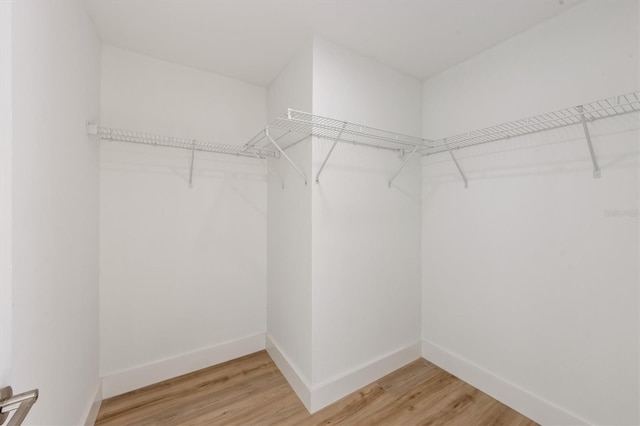 spacious closet with hardwood / wood-style floors