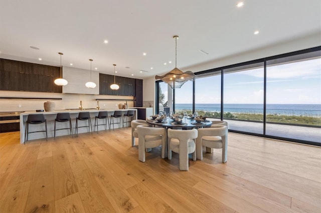 dining room featuring light hardwood / wood-style floors and a water view